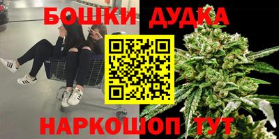 дживик Ливны