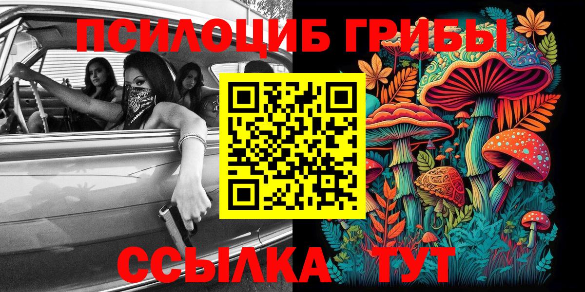 Псилоцибиновые грибы Cubensis Дзержинский