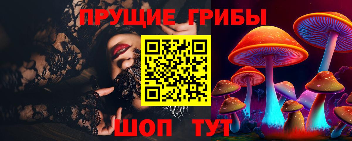 Дзержинский  Галлюциногенные грибы мицелий  Псилоцибиновые грибы прущие грибы  Вход с VPN 